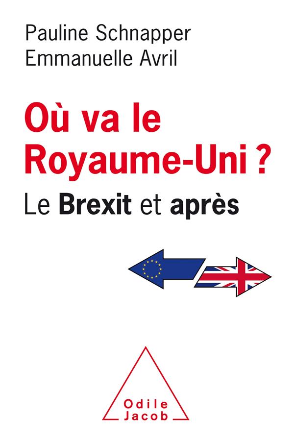 Où va le Royaume Uni ? Le Brexit et après