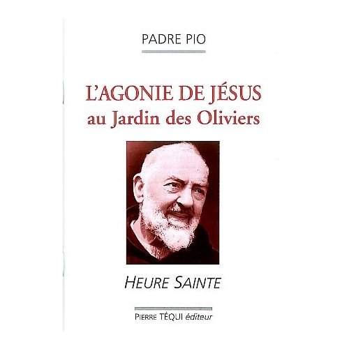 L'agonie de Jésus au Jardin des Oliviers. Heure sainte
