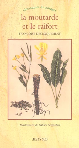 La moutarde et le raifort