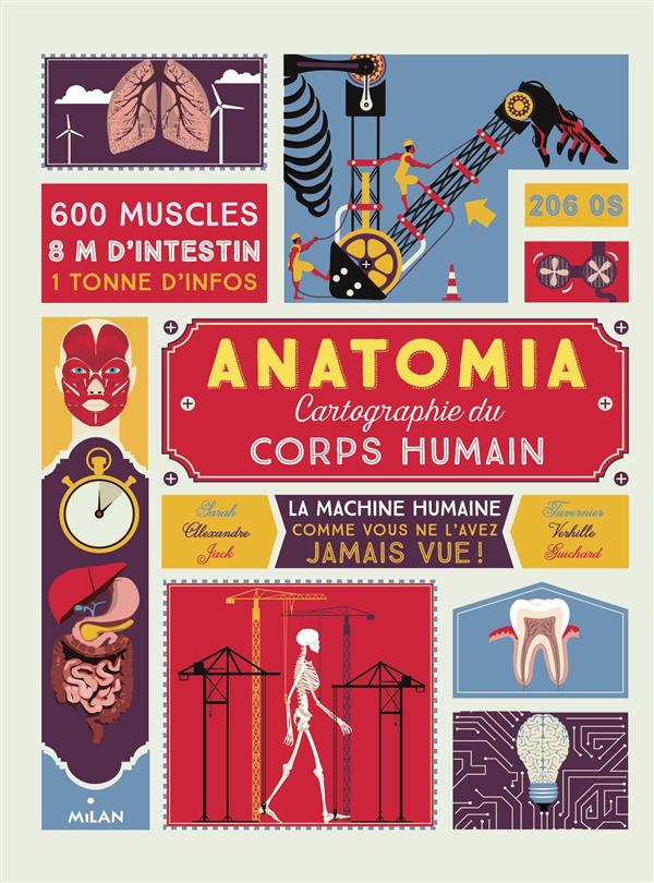 Anatomia. Cartographie du corps humain