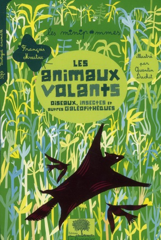 Les animaux volants