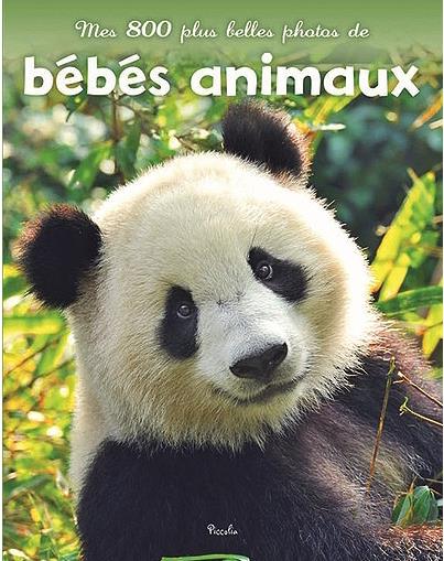 Mes 800 plus belles photos de bébés animaux