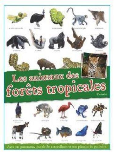 Les animaux des forêts tropicales. Avec un panorama, plus de 80 autocollants et une planche de pocho