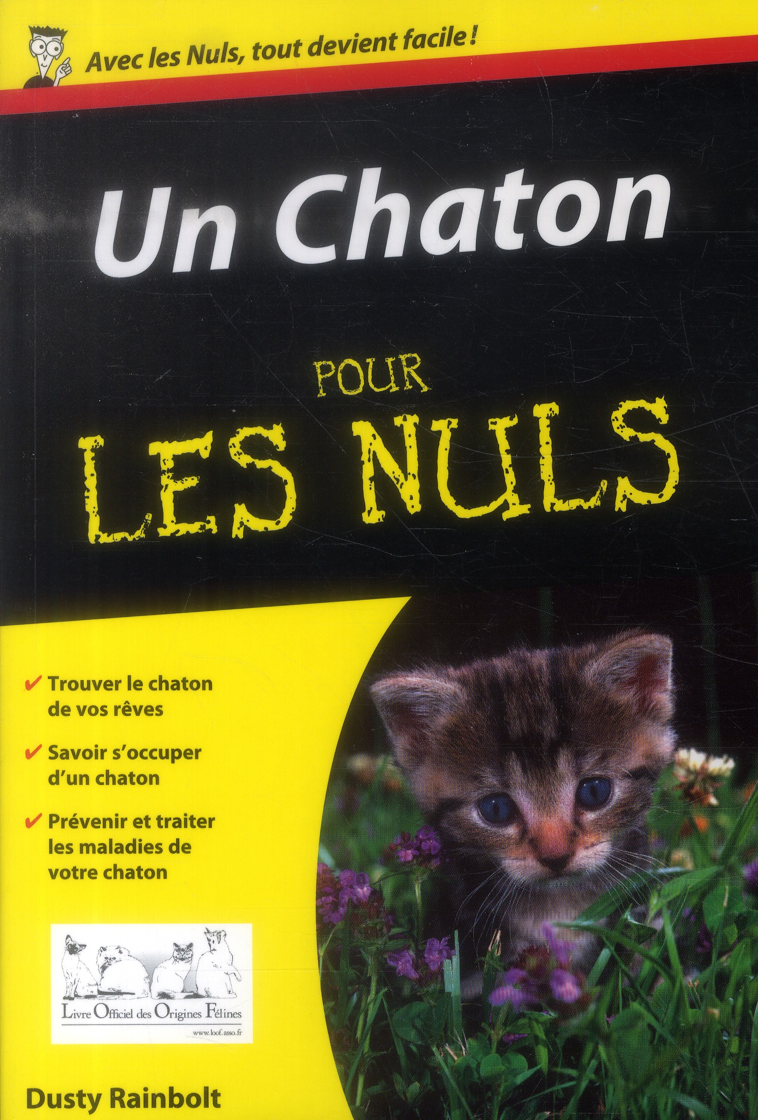 Un chaton pour les nuls