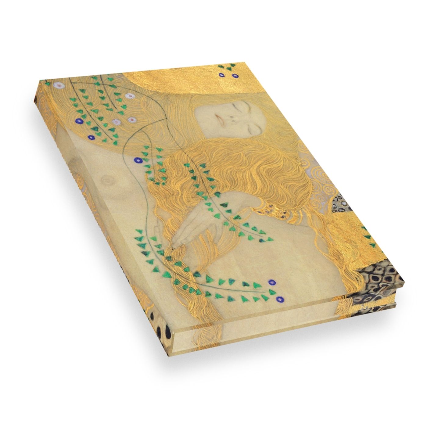 Carnet Klimt - L'Hydre