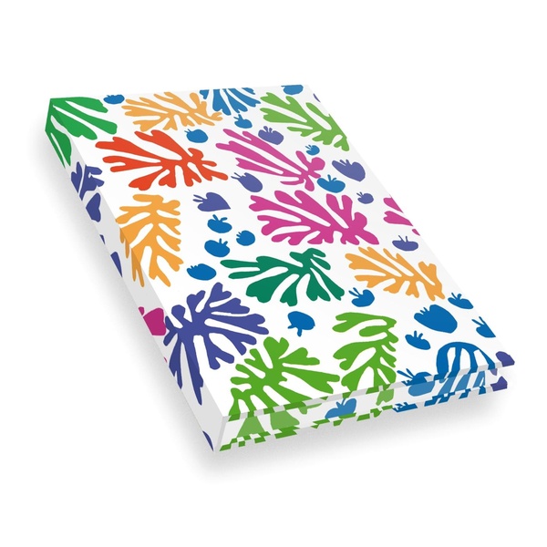 Carnet Matisse - La perruche et la sirène