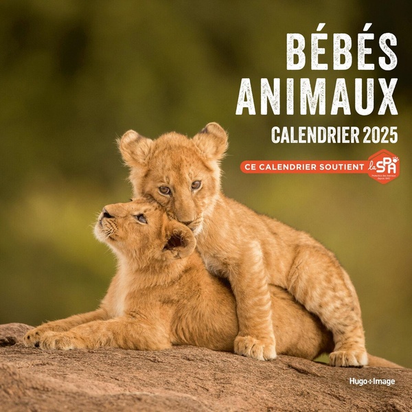 Calendrier mural Bébés animaux. Edition 2025