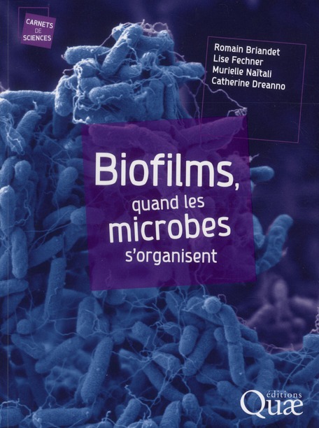 Biofilms, quand les microbes s'organisent