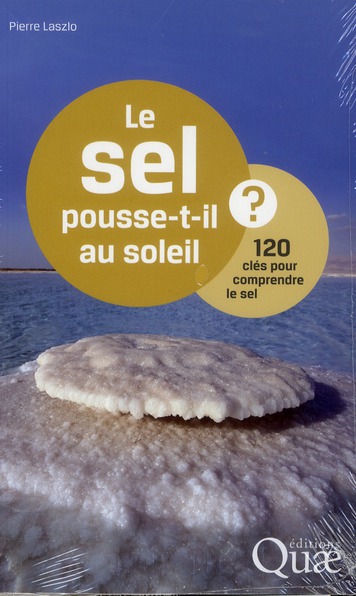 Le sel pousse-t-il au soleil ? / 120 clés pour comprendre le sel