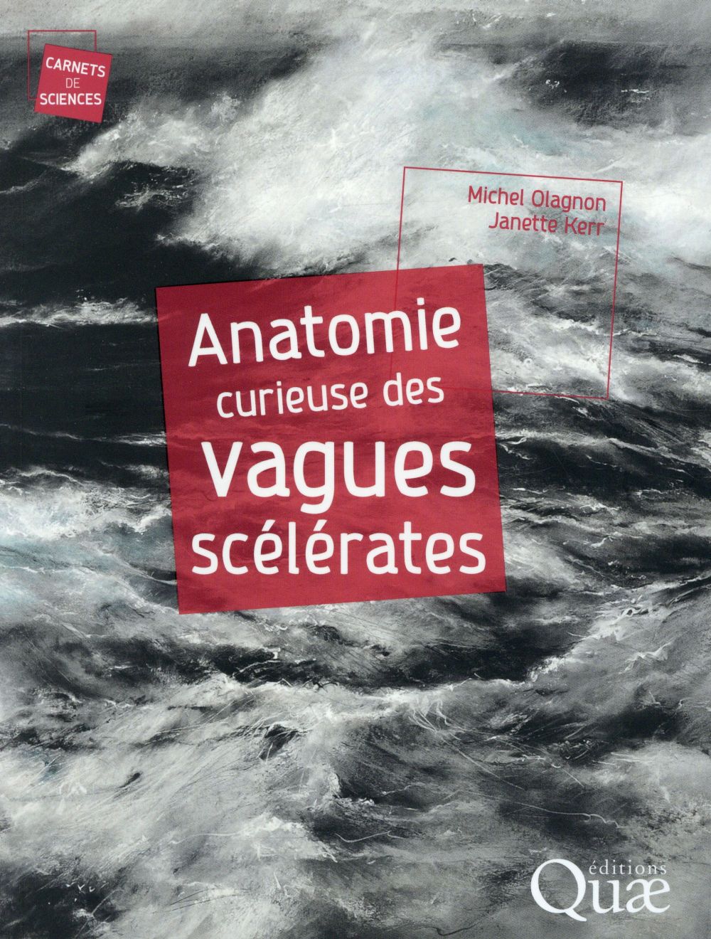 Anatomie curieuse des vagues scélérates