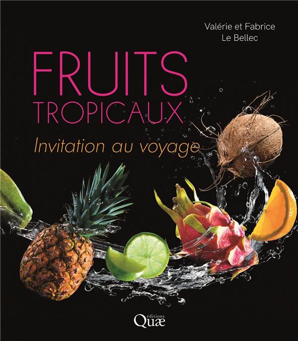 Fruits tropicaux invitation au voyage