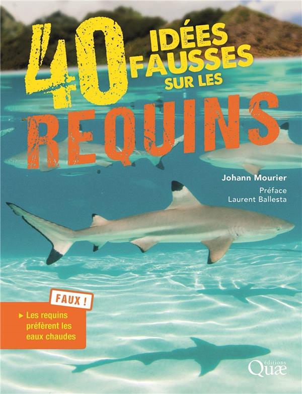 40 FAUSSES IDEES SUR LES REQUINS