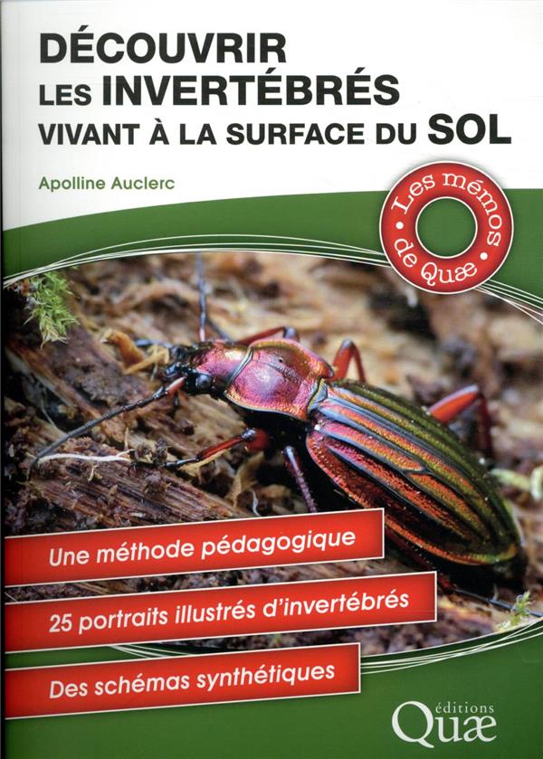 DECOUVRIR LES INVERTEBRES VIVANT A LA SURFACE DU SOL - UNE METHODE PDAGOGIQUE. 25 PORTRAITS ILLUSTRE