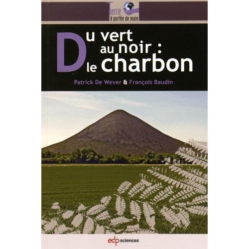 Du vert au noir : le charbon