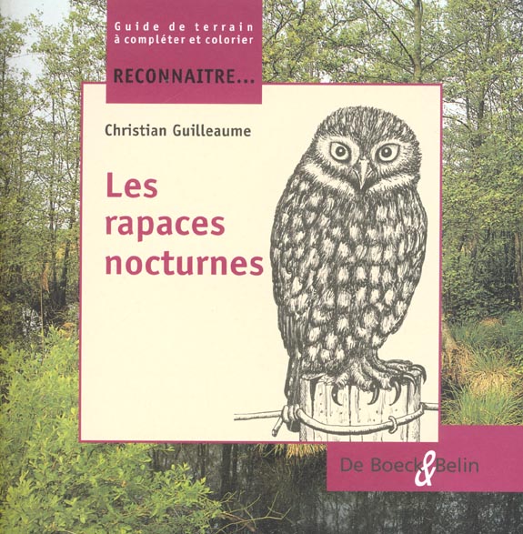 Les rapaces nocturnes