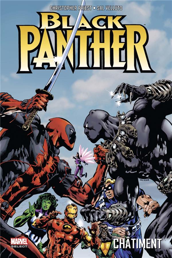 Black Panther Tome 2 : Châtiment
