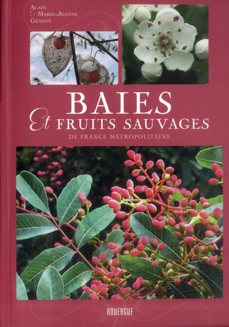 Baies et fruits sauvages de France métropolitaine