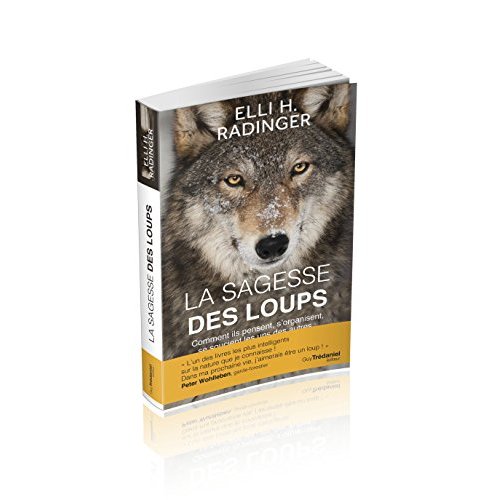 La sagesse des loups. Comment ils pensent, s'organisent, se soucient les uns des autres...