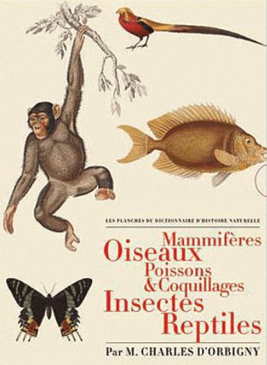 Les Planches du Dictionnaire d'Histoire Naturelle. Coffret 5 volumes : Mammifères ; Oiseaux ; Poisso