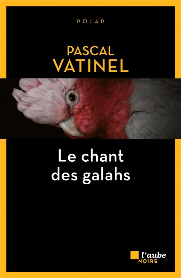 Le chant des galahs