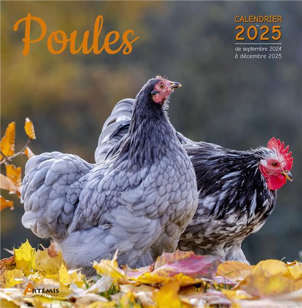 Poules. Calendrier de septembre 2024 à décembre 2025, Edition 2025