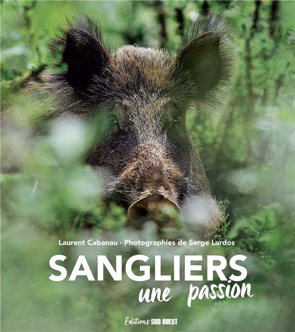 Sangliers. Une passion