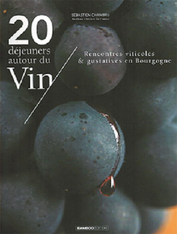 20 déjeuners autour du vin. Rencontres viticoles & gustatives en Bourgogne