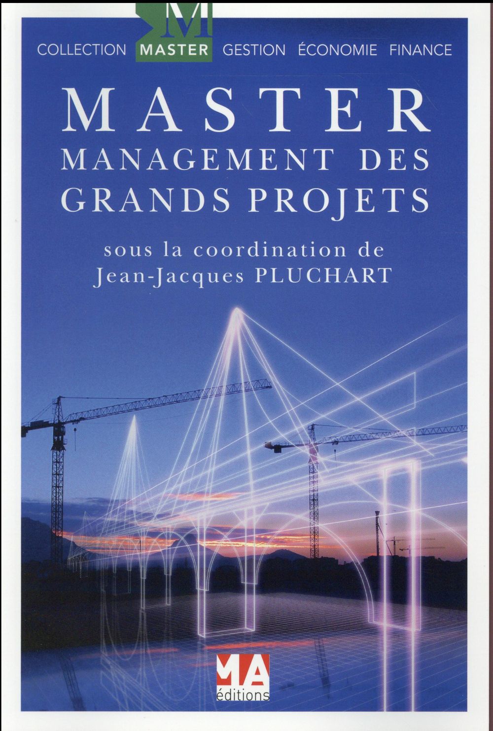 Management des grands projets