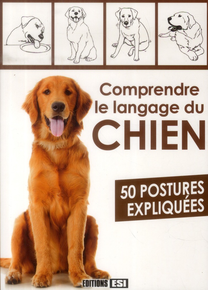 Comprendre le langage du chien