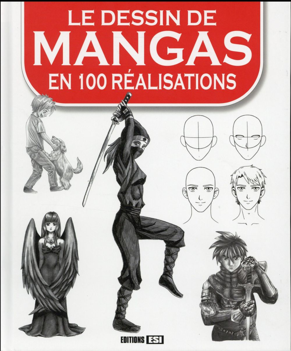 Le dessin de mangas en 100 réalisations