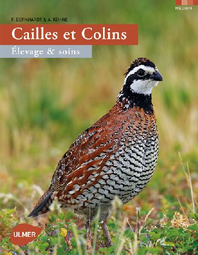 Cailles et colins. Elevage et soins