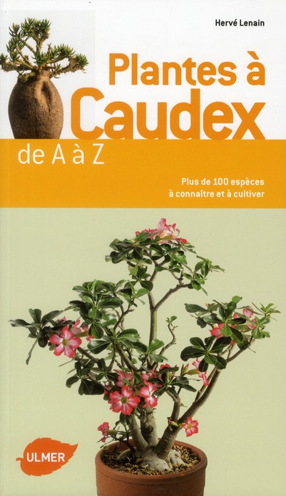 Plantes à Caudex de A à Z