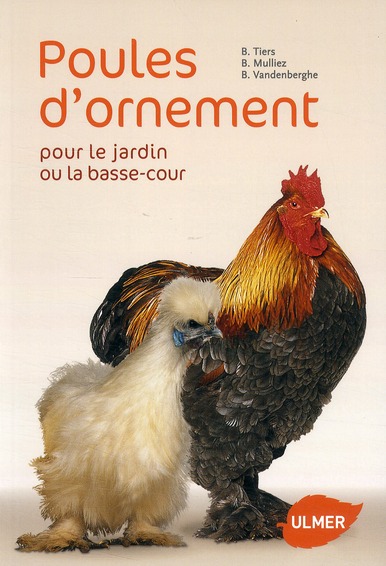 Poules d'ornement pour le jardin ou la basse-cour