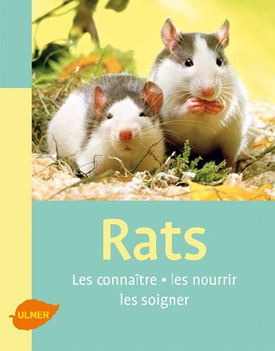 Rats. Les connaîtres, les nourrir, les soigner