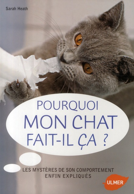 Pourquoi mon chat fait-il ça ?