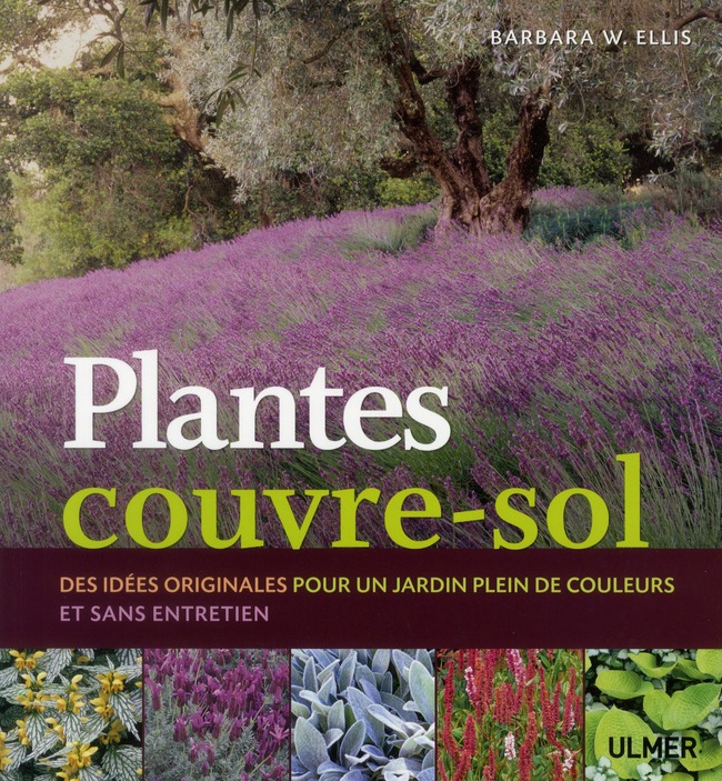 Plantes couvre-sol. Des idées originales pour un jardin plein de couleurs et sans entretien