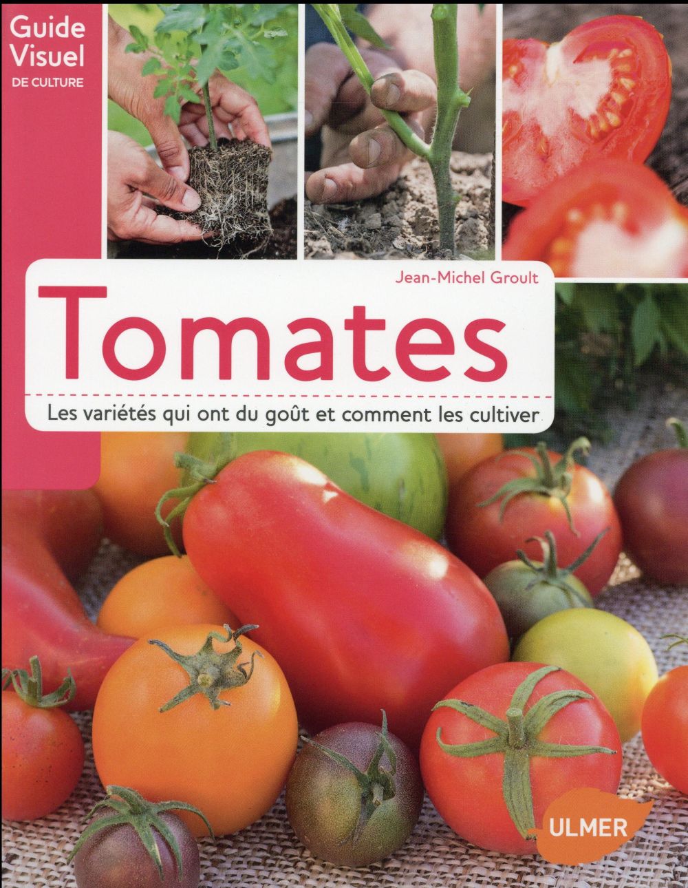 Tomates, les variétés qui ont du goût et comment les cultiver