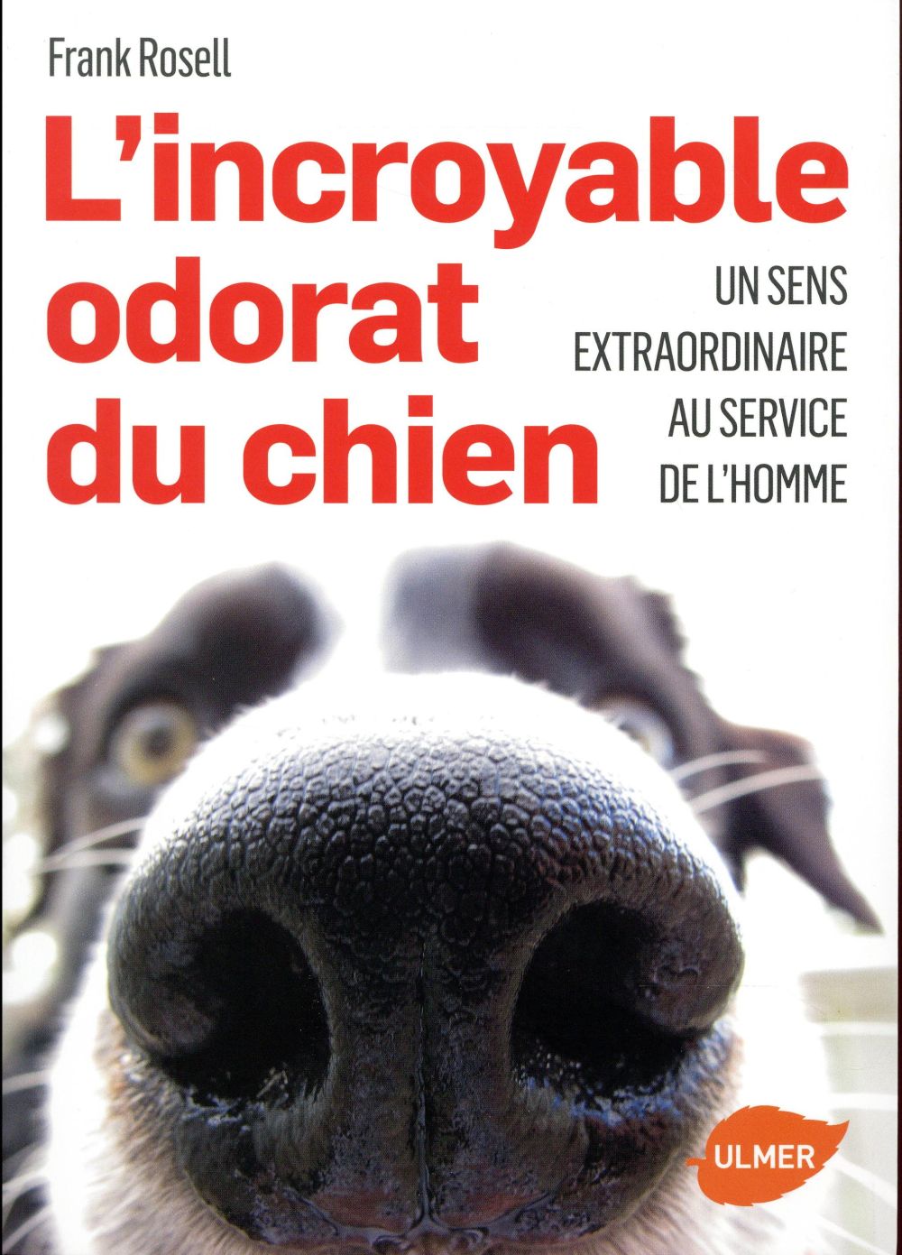 L'incroyable odorat du chien. Un sens extraordinaire au service de l'homme