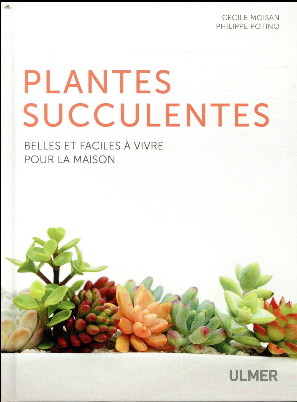Les plantes succulentes. Belles et faciles à vivre pour la maison