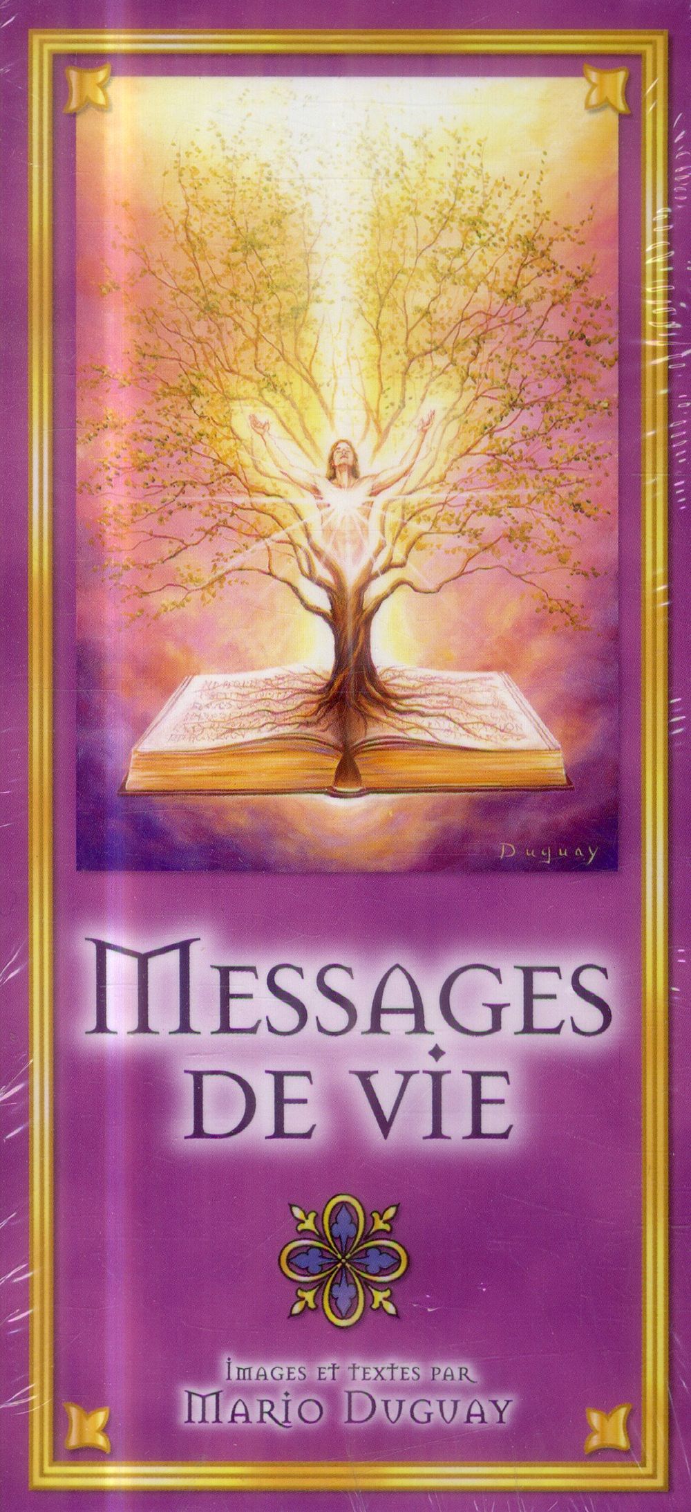 Messages de vie. Avec 54 cartes