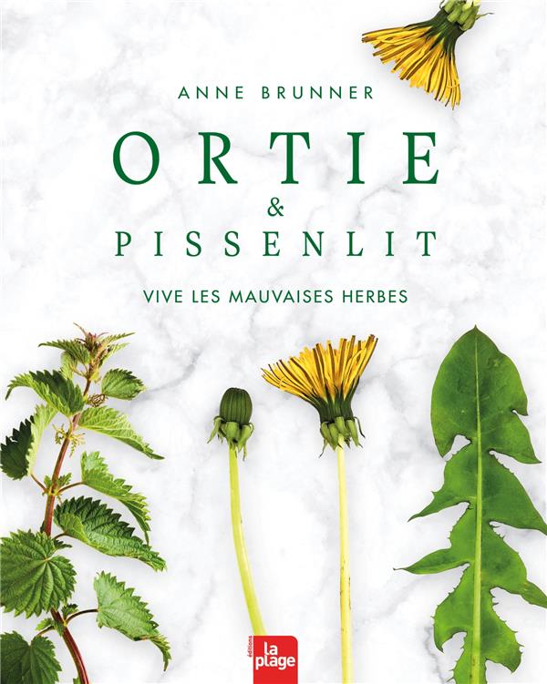 Ortie et pissenlit. Vive les mauvaises herbes