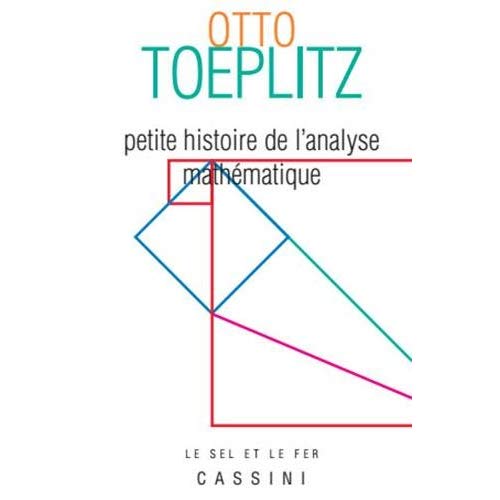Petite histoire de l'analyse mathématique