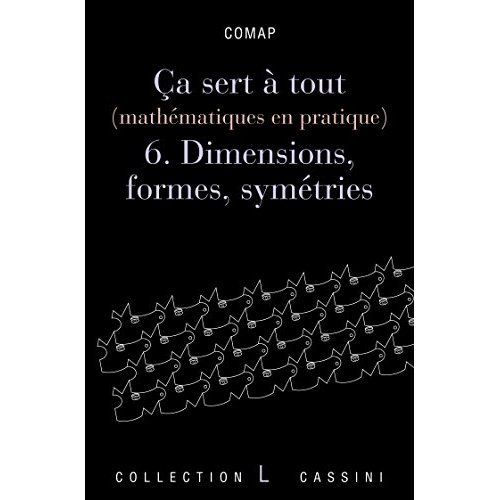 Ca sert à tout (mathématiques en pratique). Volume 6, Dimensions, formes et symétries