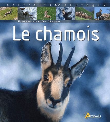 Le chamois