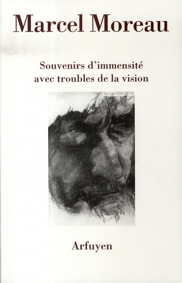 Souvenirs d'immensité avec troubles de la vision. Précipité de notes prises lors d'un voyage Moscou-