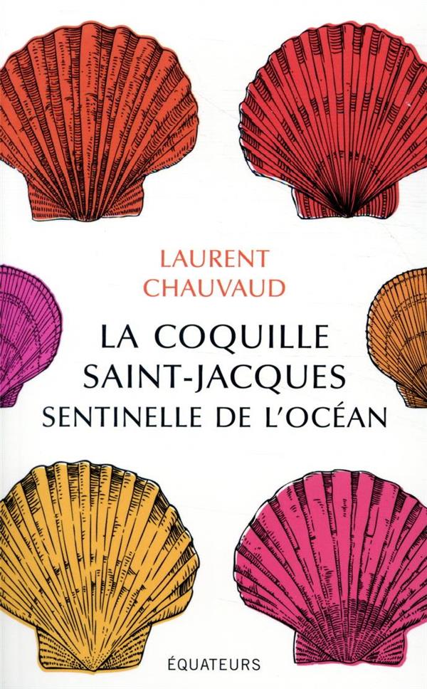 La coquille Saint-Jacques, sentinelle de l'océan