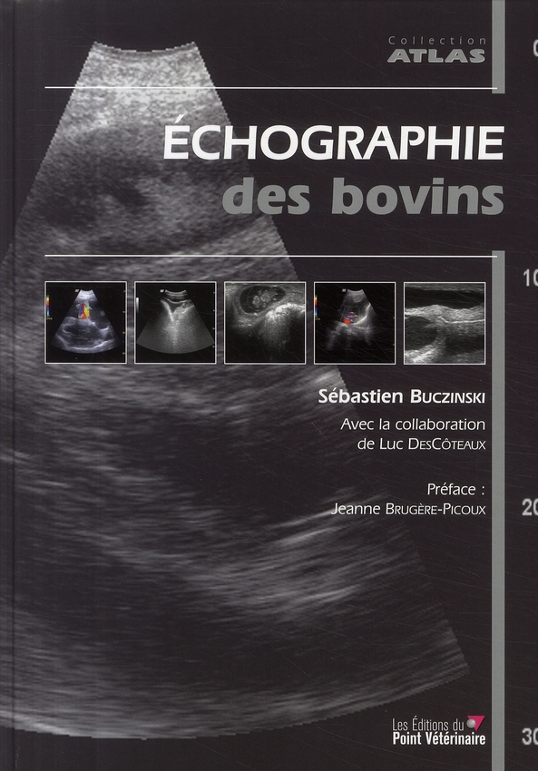 Echographie des bovins