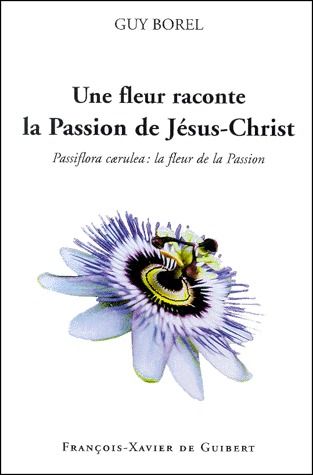 Une fleur raconte la Passion de Jésus-Christ. Passiflora caerulea : la fleur de la Passion