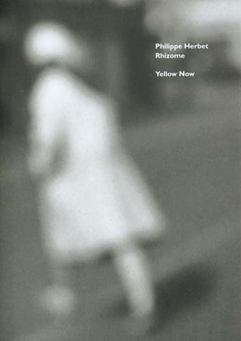 Rhizome. Atterrage