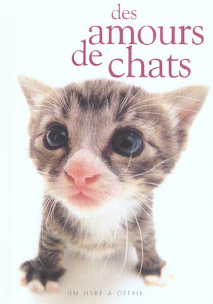Des amours de chats